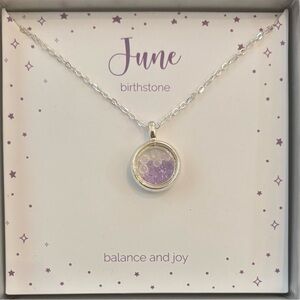 NWT June birthstone necklace